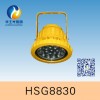 HSG8830/BTC8830LED防爆投光燈