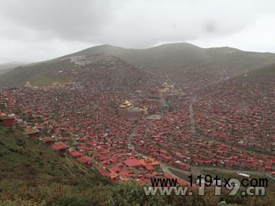 五明佛學院全景照